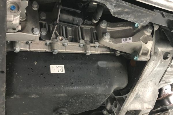 KNAUS  - Galeria [37]