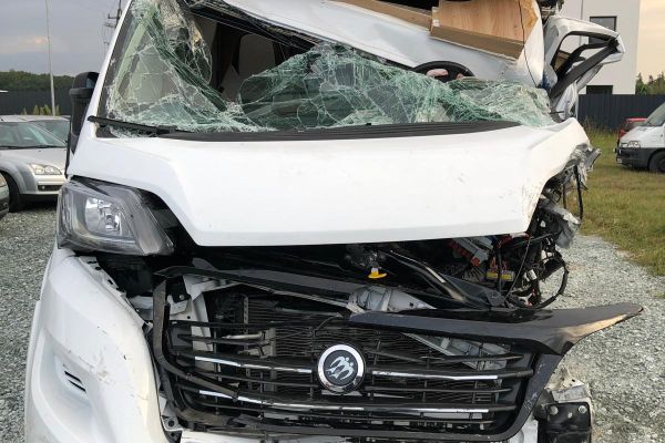 KNAUS  - Galeria [39]