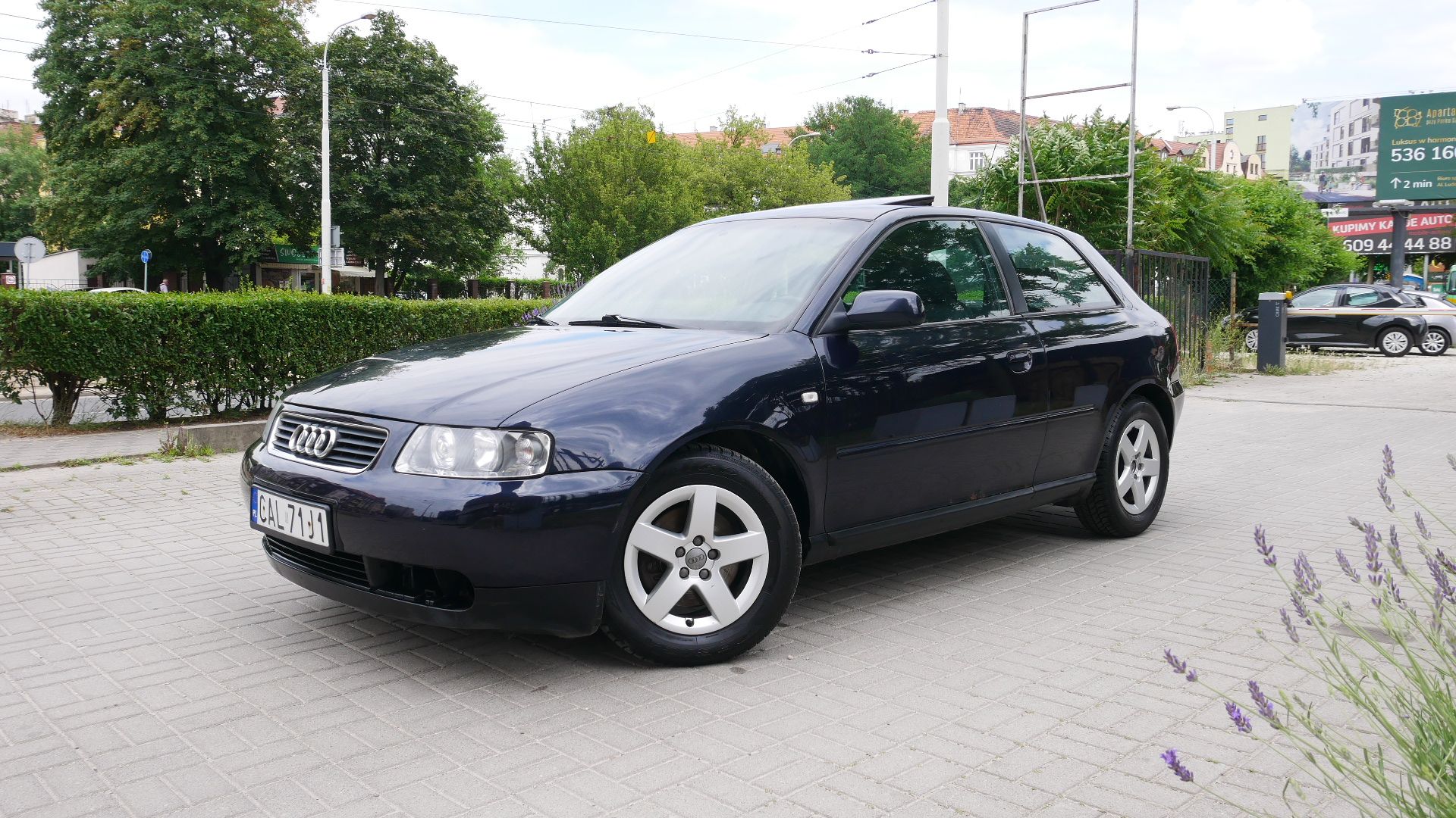 Audi A3 - Galeria [1]