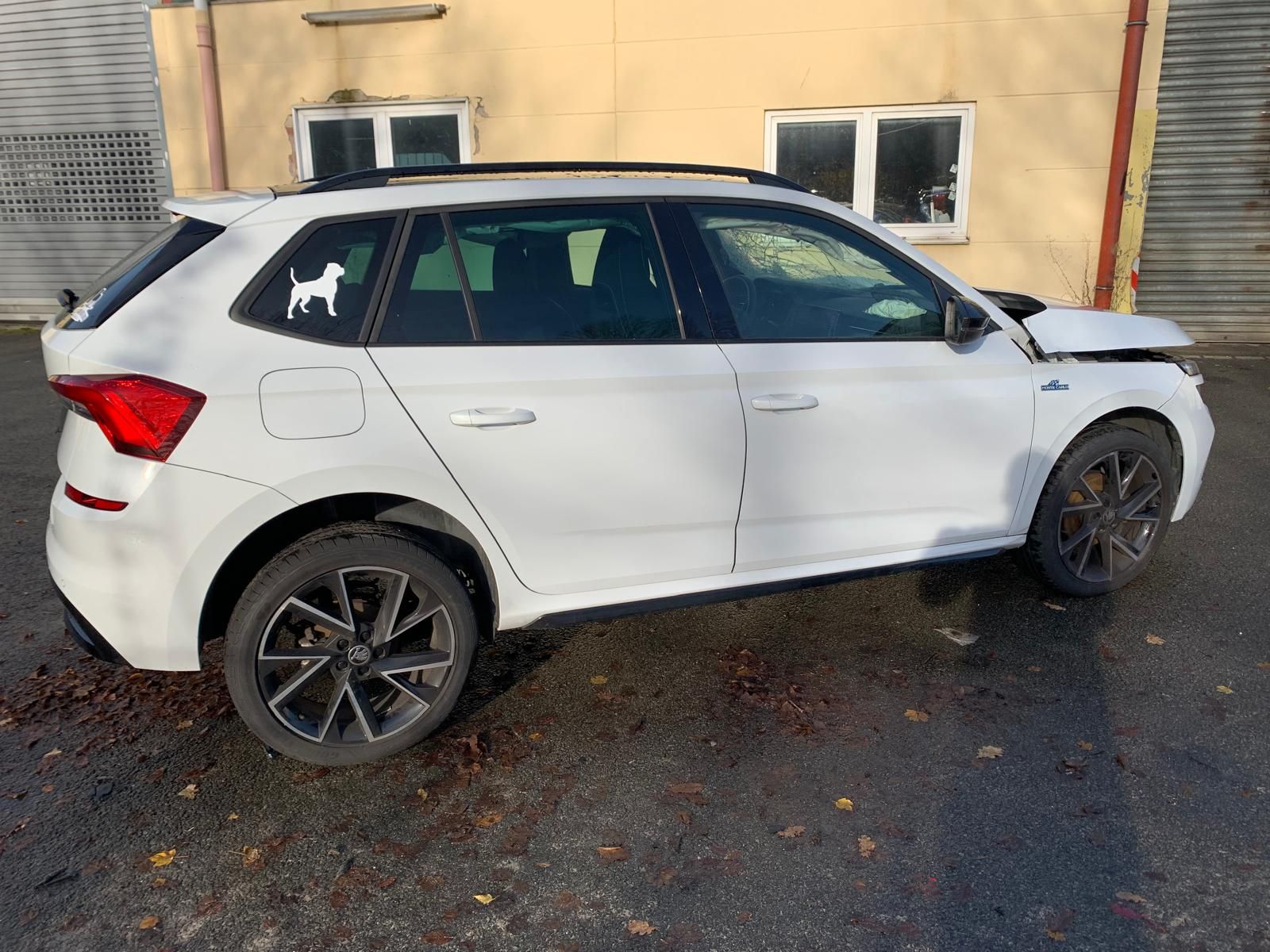 Skoda Kamiq - Galeria [5]